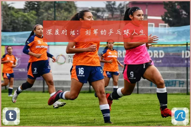 深度对话：刘军的乒乓球人生