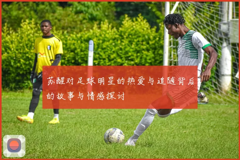 苏醒对足球明星的热爱与追随背后的故事与情感探讨