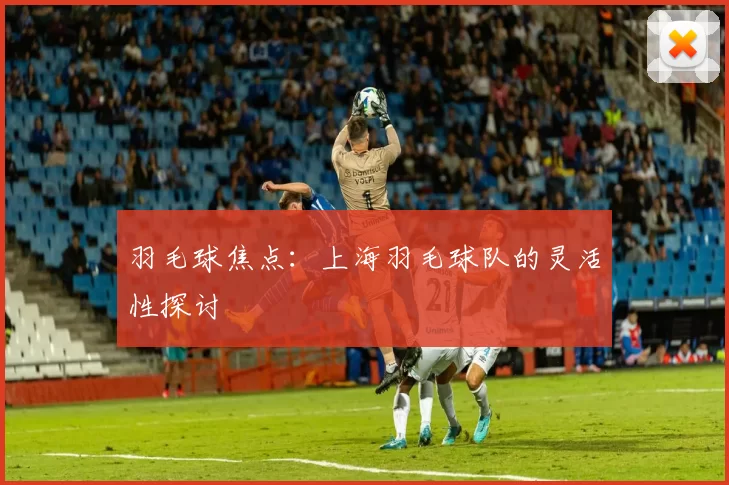 羽毛球焦点：上海羽毛球队的灵活性探讨