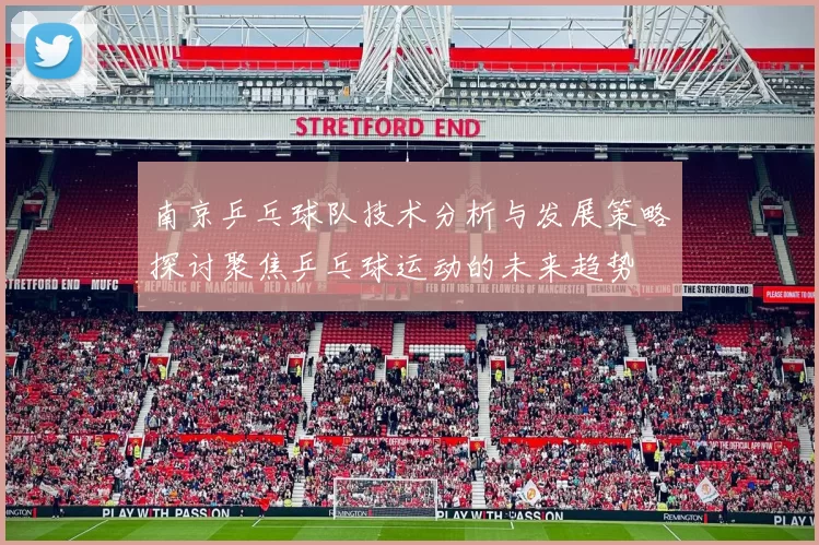 南京乒乓球队技术分析与发展策略探讨聚焦乒乓球运动的未来趋势